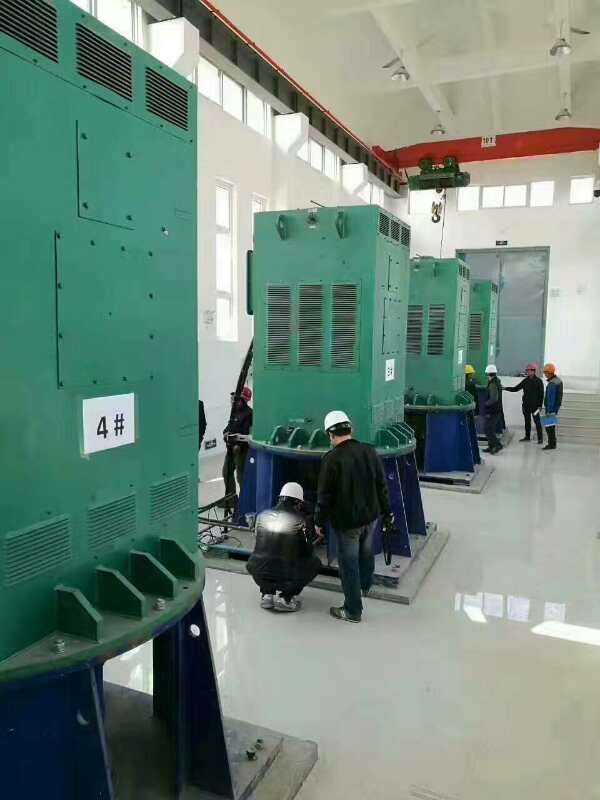 三江某污水处理厂使用我厂的立式高压电机安装现场